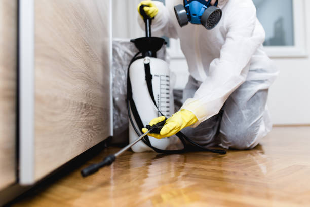 Best Best Pest Control Companies  in Ledgewood, NJ