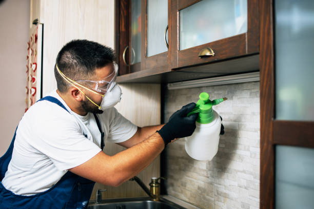 Best Pest Removal Services  in Ledgewood, NJ