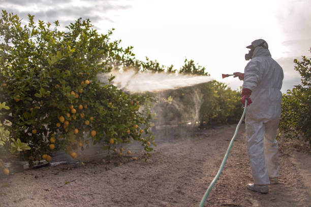 Professional Pest Control in Ledgewood, NJ