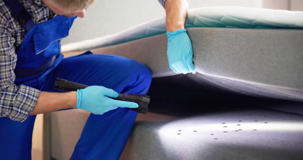 Best Emergency Pest Control  in Ledgewood, NJ