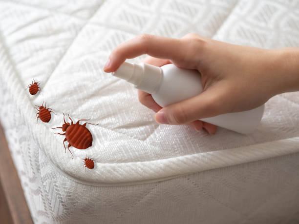 Best Flea Control Services  in Ledgewood, NJ