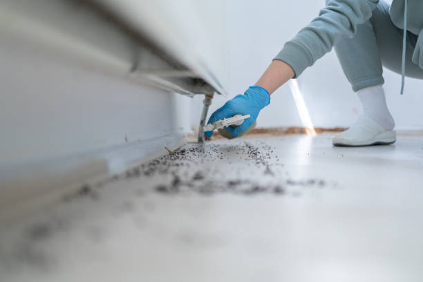Best Wildlife Control Services  in Ledgewood, NJ